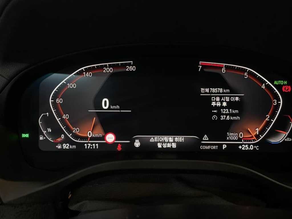 BMW X3 X3 (G01) xDrive 20i 럭셔리 이미지 7