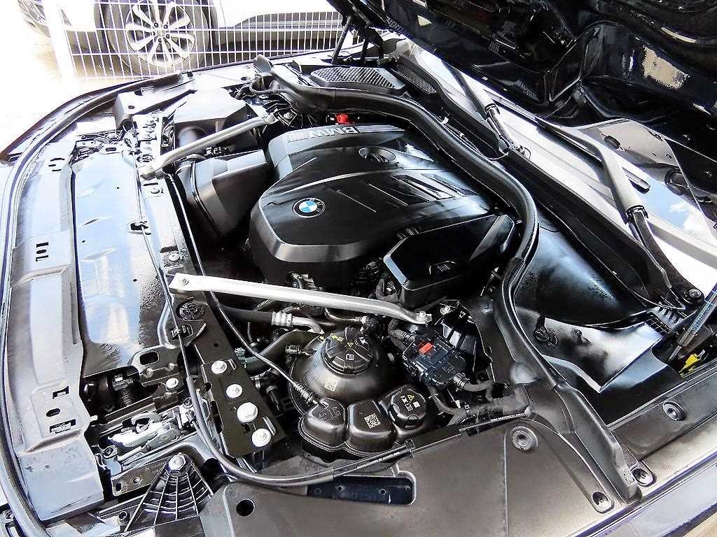 BMW 5시리즈 5시리즈 (G60) 530i xDrive M 스포츠 이미지 19