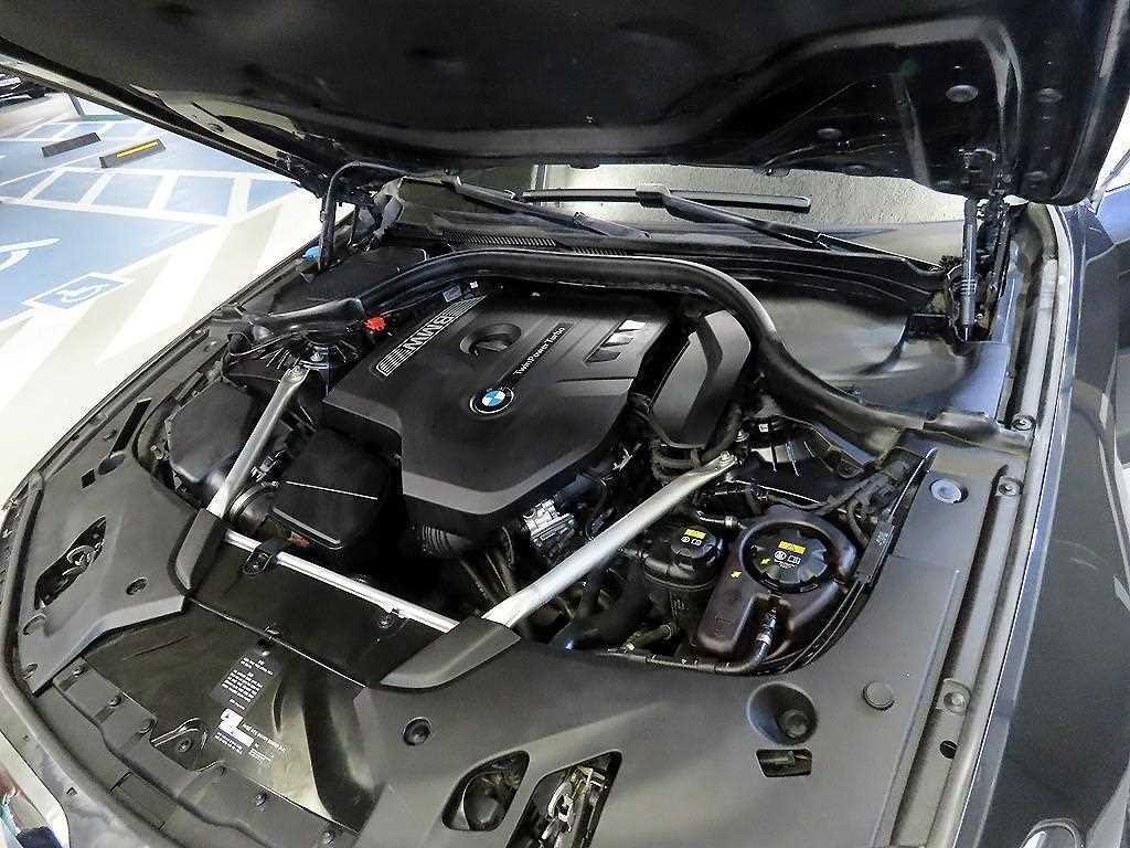 BMW 5시리즈 5시리즈 (G30) 530i 럭셔리 플러스 이미지 19