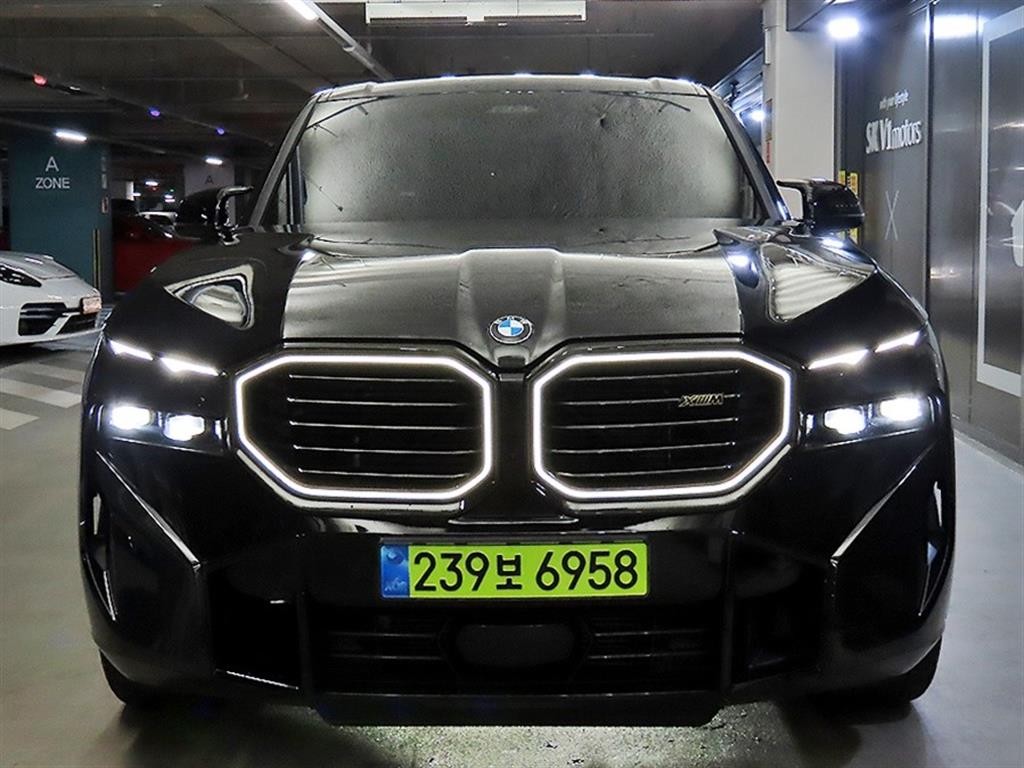 BMW XM XM (G09) 4.4 V8 PHEV 하이글로스 쉐도우 라인 이미지 2