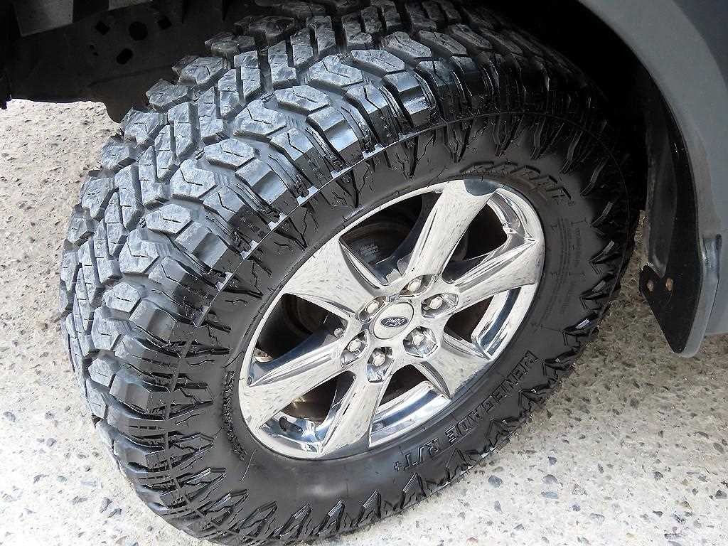 포드 F-Series F150 5.0L 이미지 20