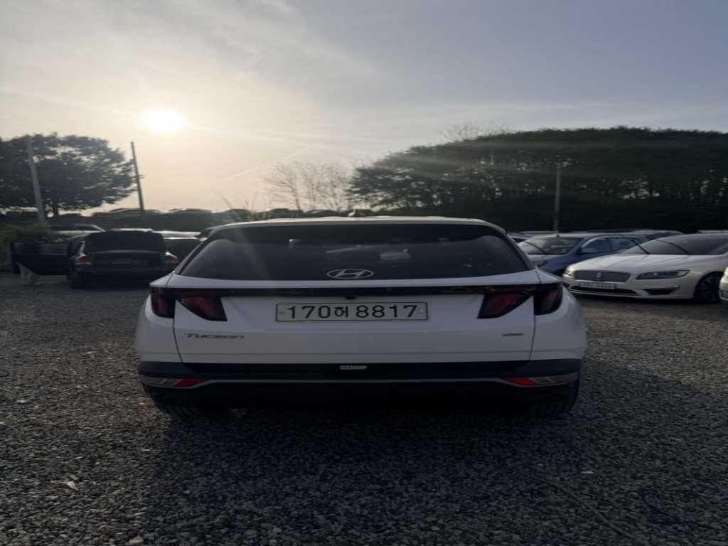 현대 투싼 투싼 (NX4) 디젤 2.0 4WD 모던 이미지 5