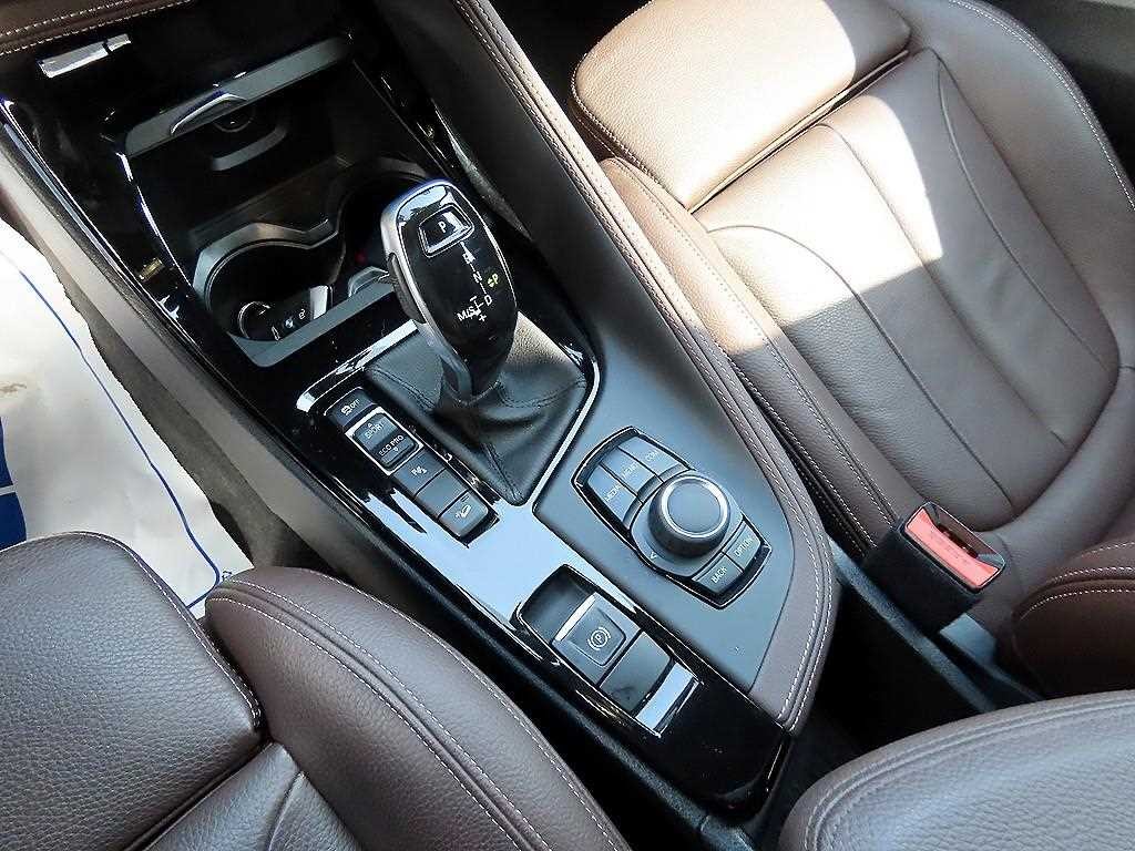 BMW X1 X1 (F48) xDrive 20i M 스포츠 이미지 10