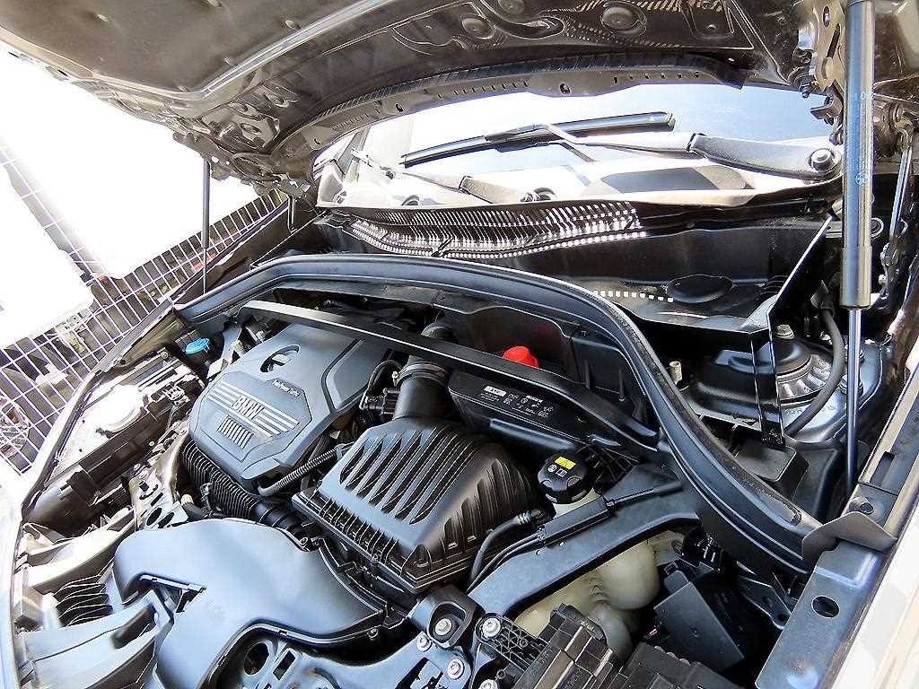 BMW X1 X1 (F48) xDrive 20i M 스포츠 이미지 19