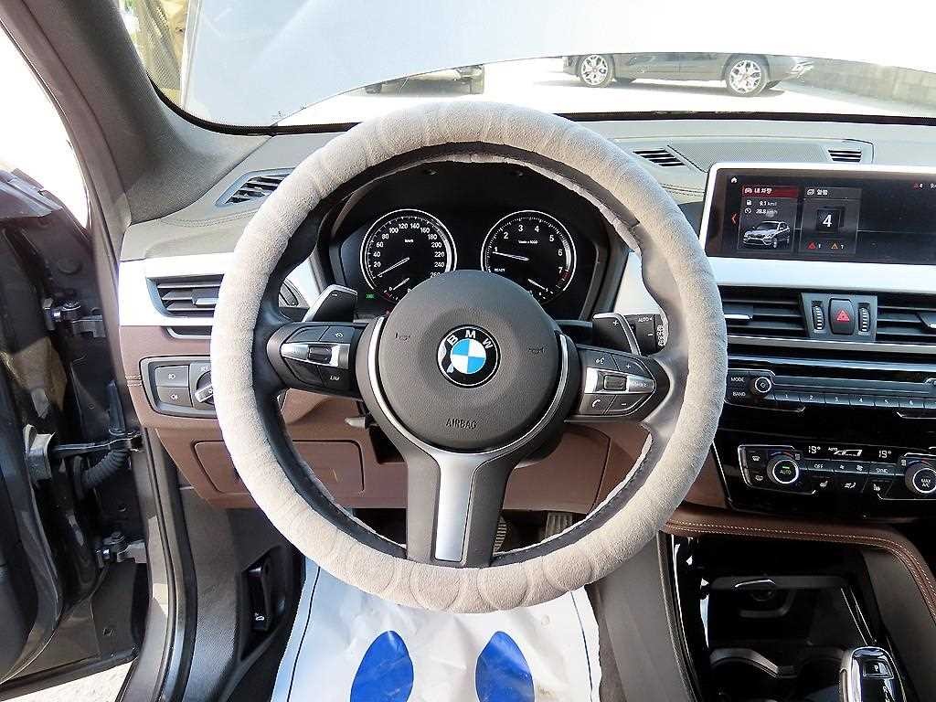 BMW X1 X1 (F48) xDrive 20i M 스포츠 이미지 8