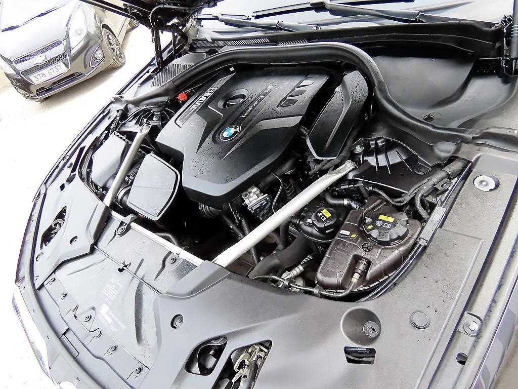 BMW 5시리즈 5시리즈 (G30) 530i xDrive M 스포츠 이미지 19
