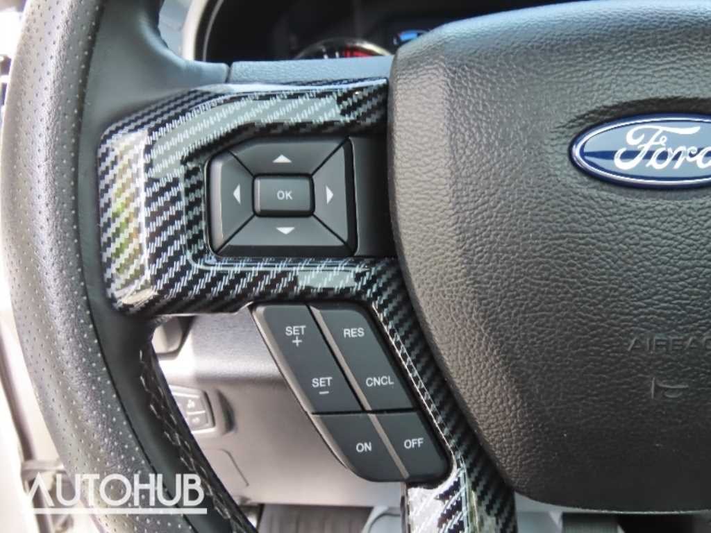 포드 F-Series F150 3.5L 이미지 12