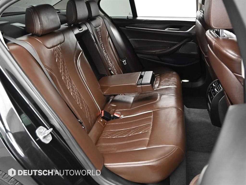 BMW 5시리즈 5시리즈 (G30) 530i 럭셔리 플러스 이미지 12