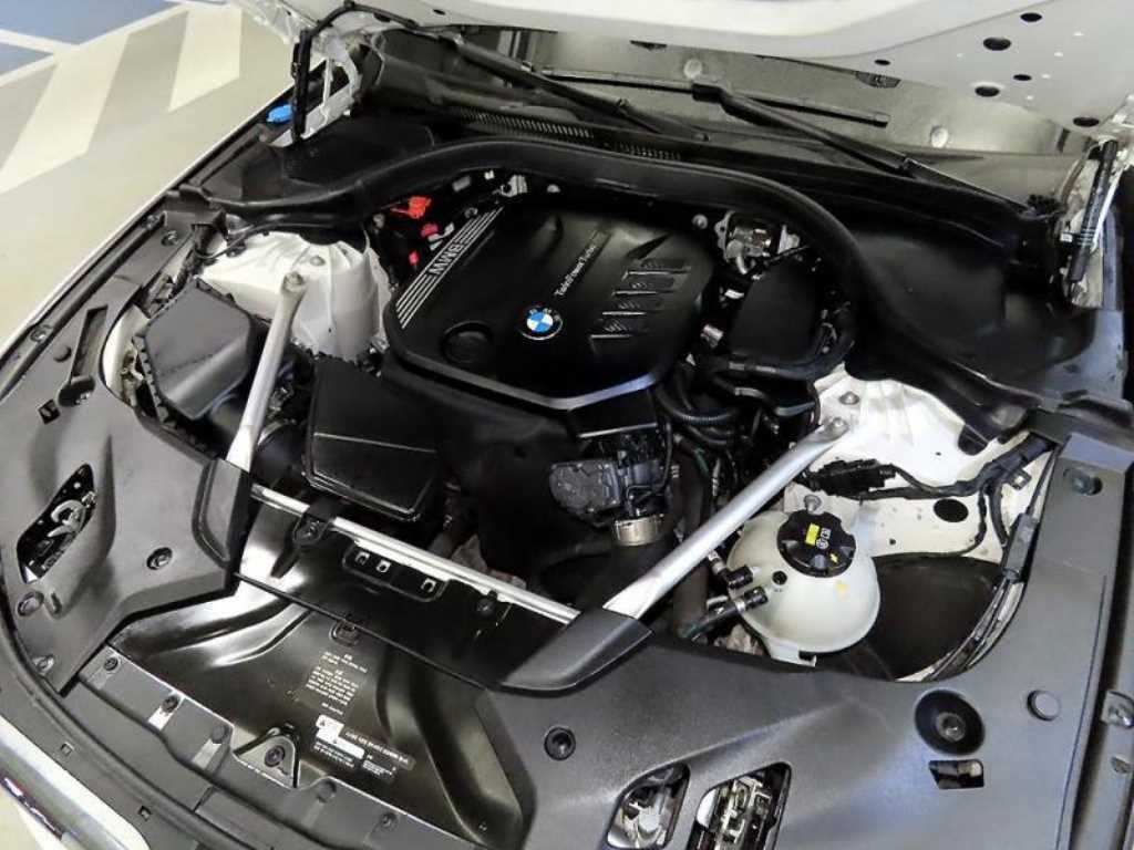 BMW 5시리즈 5시리즈 (G30) 520d xDrive 럭셔리 플러스 이미지 19