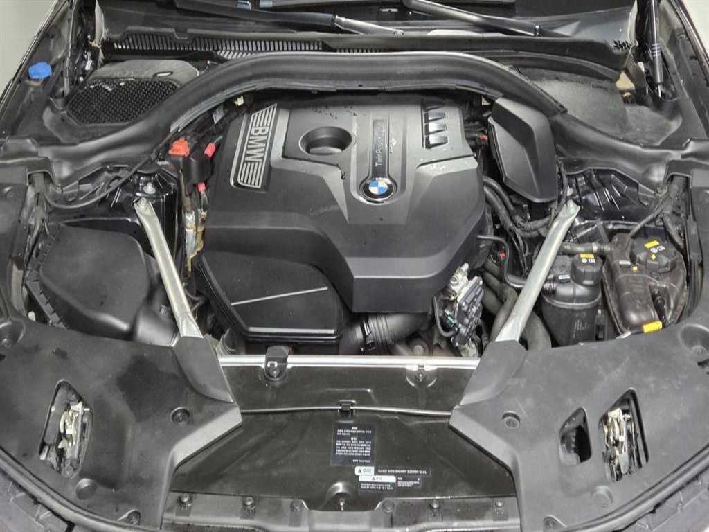 BMW 5시리즈 5시리즈 (G30) 530i M 스포츠 플러스 이미지 14