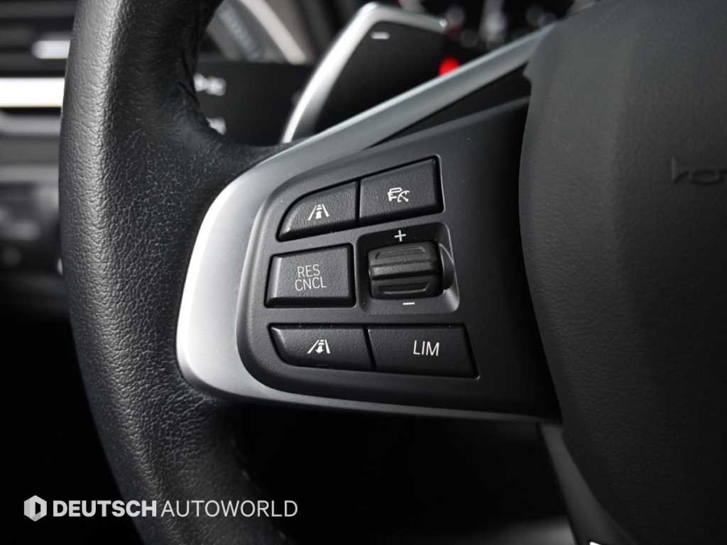 BMW X1 X1 (F48) xDrive 20i M 스포츠 이미지 16