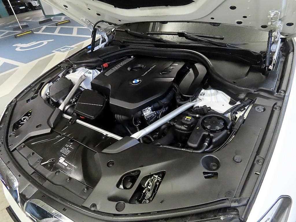 BMW 5시리즈 5시리즈 (G30) 530i M 스포츠 플러스 이미지 19