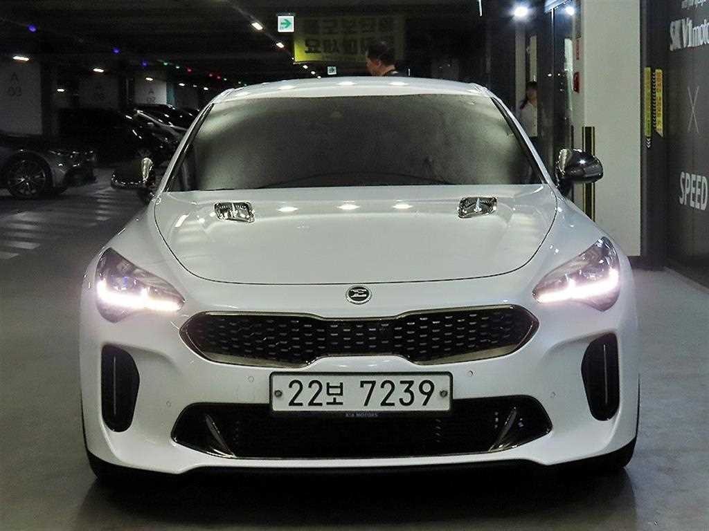 기아 스팅어 가솔린 2.0 터보 AWD 플래티넘 이미지 2