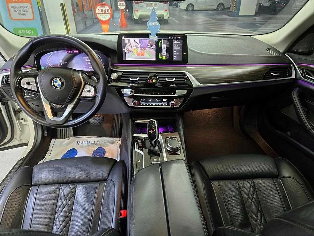 BMW 5시리즈 5시리즈 (G30) 530i xDrive M 스포츠 이미지 10