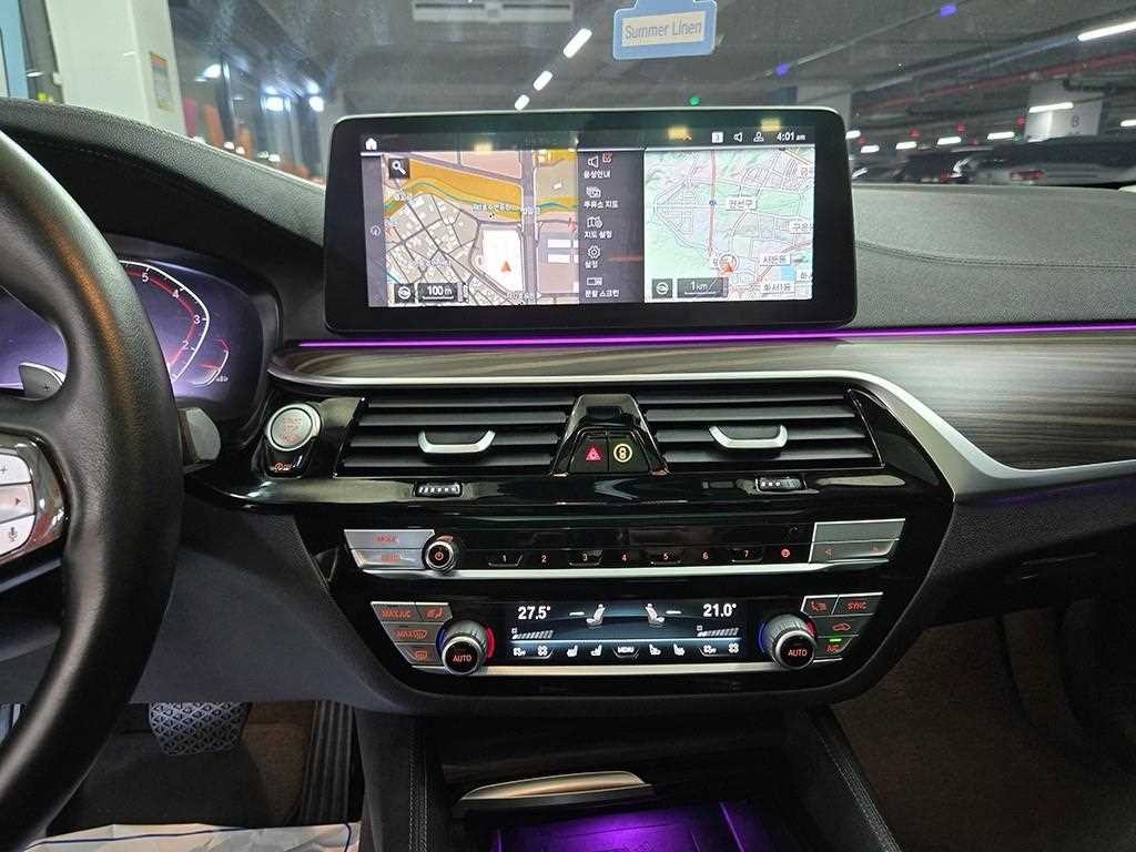BMW 5시리즈 5시리즈 (G30) 530i xDrive M 스포츠 이미지 11