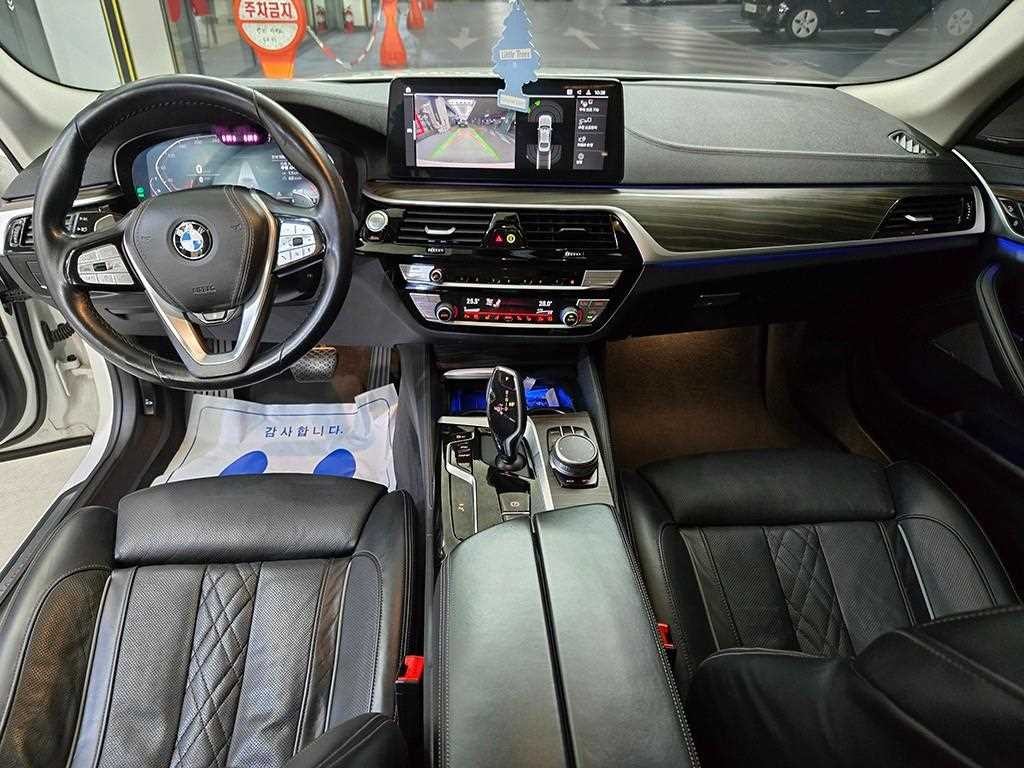 BMW 5시리즈 5시리즈 (G30) 530i xDrive 럭셔리 이미지 10