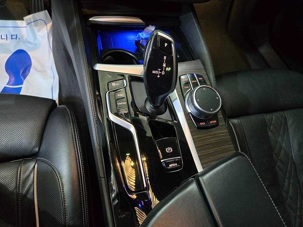 BMW 5시리즈 5시리즈 (G30) 530i xDrive 럭셔리 이미지 12