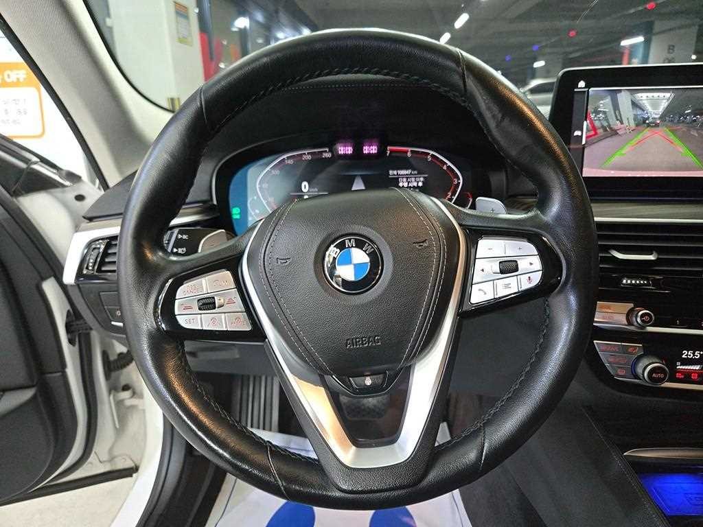 BMW 5시리즈 5시리즈 (G30) 530i xDrive 럭셔리 이미지 8