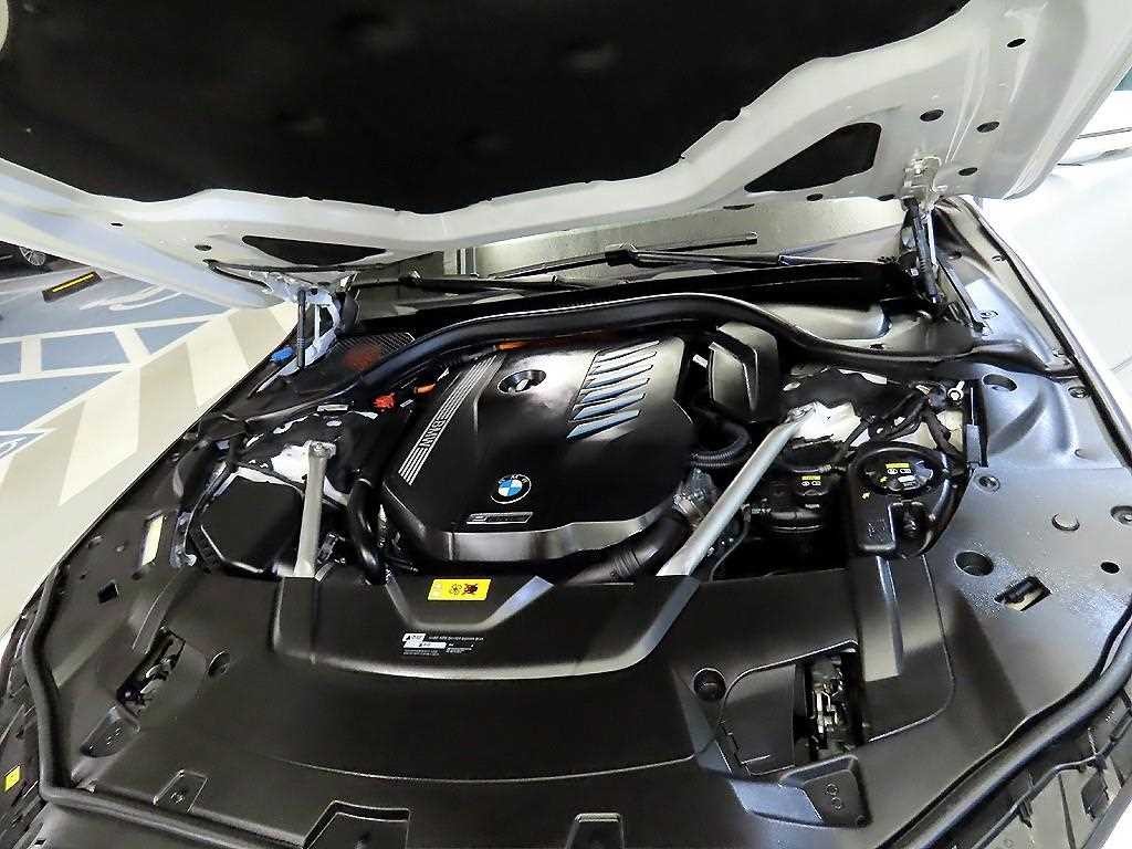 BMW 7시리즈 7시리즈 (G11) 745Le sDrive 디자인 퓨어 에디션 이미지 19