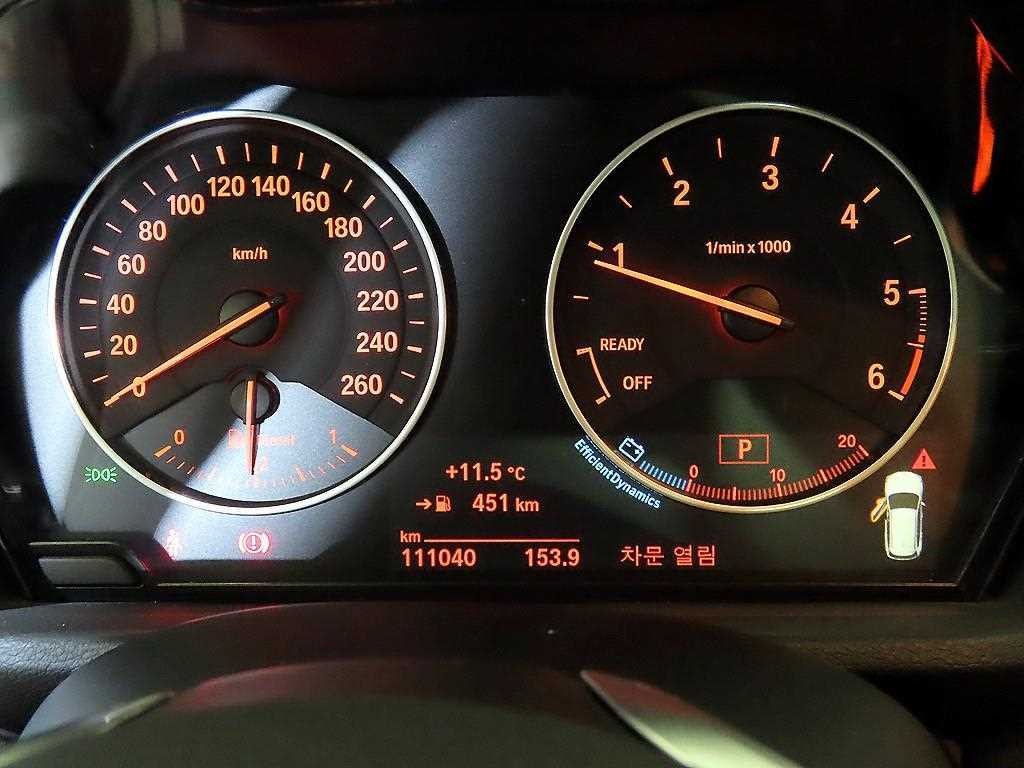 BMW X1 X1 (F48) xDrive 18d 이미지 9