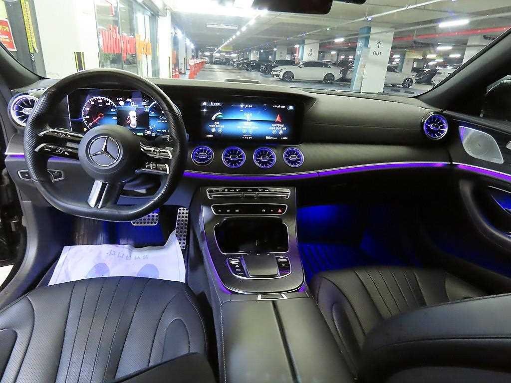 벤츠 CLS 클래스 CLS클래스 C257 CLS 300d 4MATIC 이미지 10