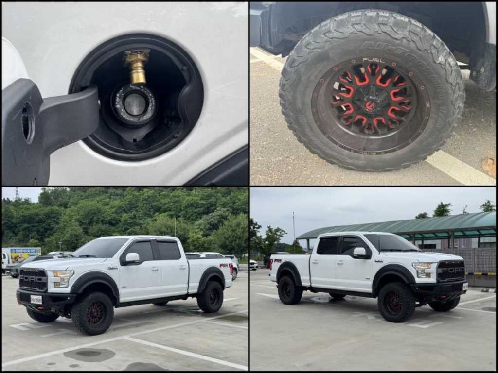 포드 F-Series F150 3.5L 이미지 17