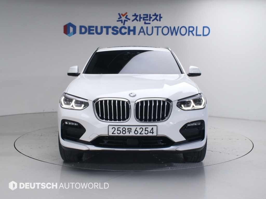 BMW X4 X4 (G02) xDrive 20d xLine 이미지 1
