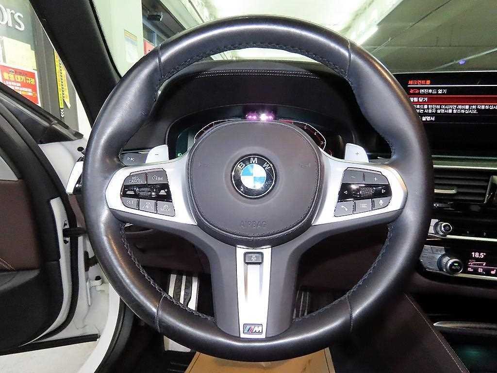 BMW 5시리즈 5시리즈 (G30) 530i xDrive M 스포츠 이미지 8