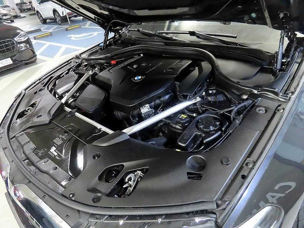 BMW 5시리즈 5시리즈 (G30) 520i 럭셔리 이미지 19