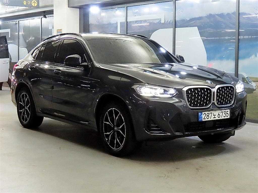 BMW X4 X4 (G02) xDrive 20i M 스포츠 이미지 1
