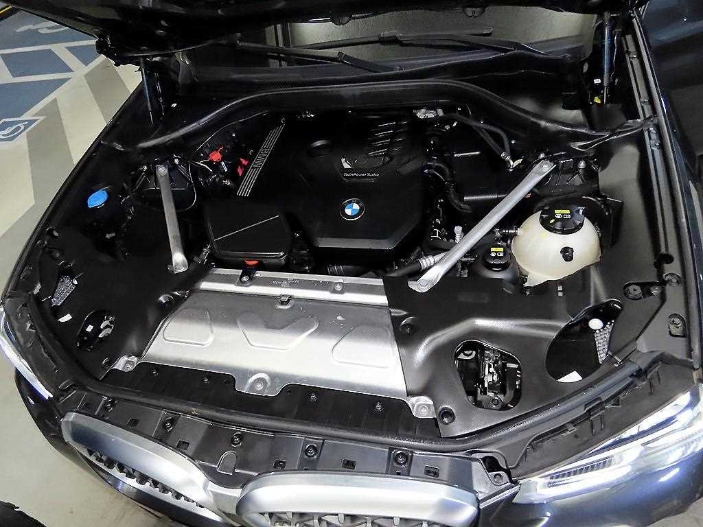 BMW X4 X4 (G02) xDrive 20i M 스포츠 이미지 19