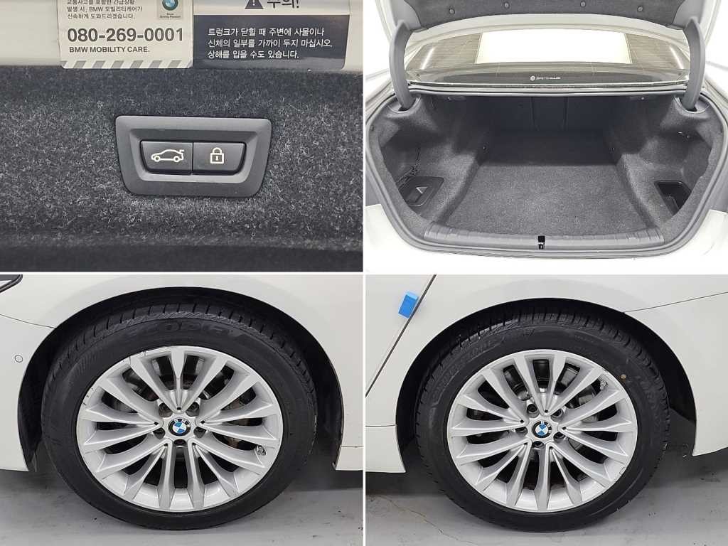BMW 5시리즈 5시리즈 (G30) 530i xDrive 럭셔리 플러스 이미지 19