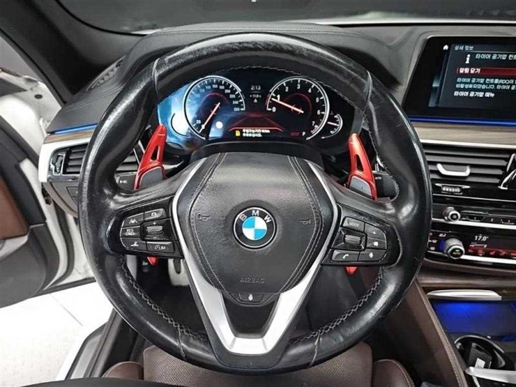 BMW 5시리즈 5시리즈 (G30) 530i M 스포츠 플러스 이미지 9
