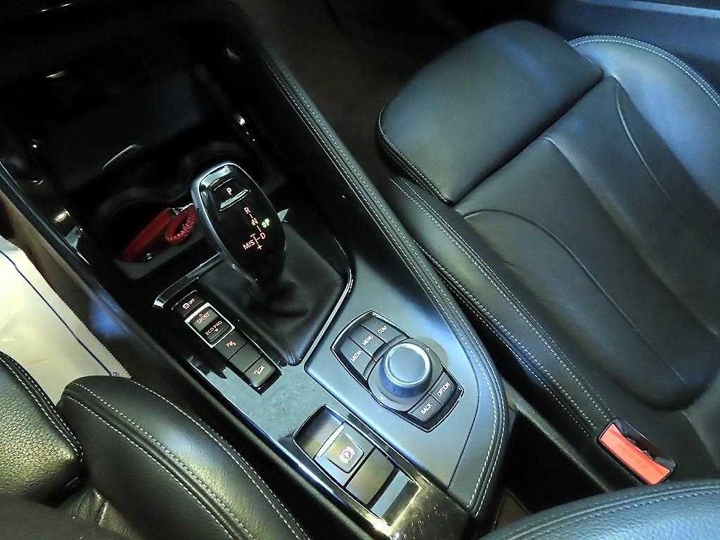 BMW X1 X1 (F48) xDrive 20d xLine 이미지 12
