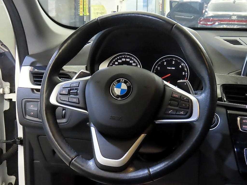 BMW X1 X1 (F48) xDrive 20d xLine 이미지 8