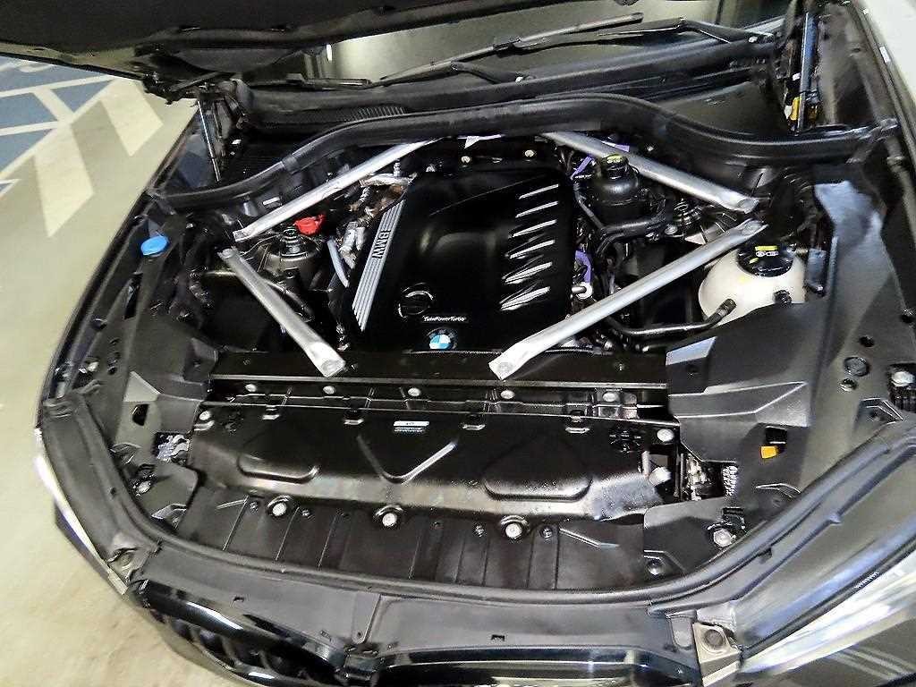 BMW X6 X6 (G06) xDrive 30d M 스포츠 이미지 19