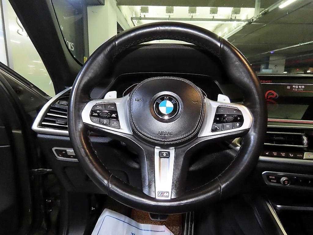 BMW X6 X6 (G06) xDrive 30d M 스포츠 이미지 8