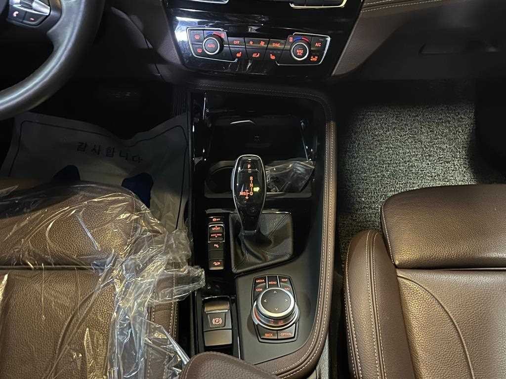 BMW X1 X1 (F48) xDrive 20i M 스포츠 이미지 11
