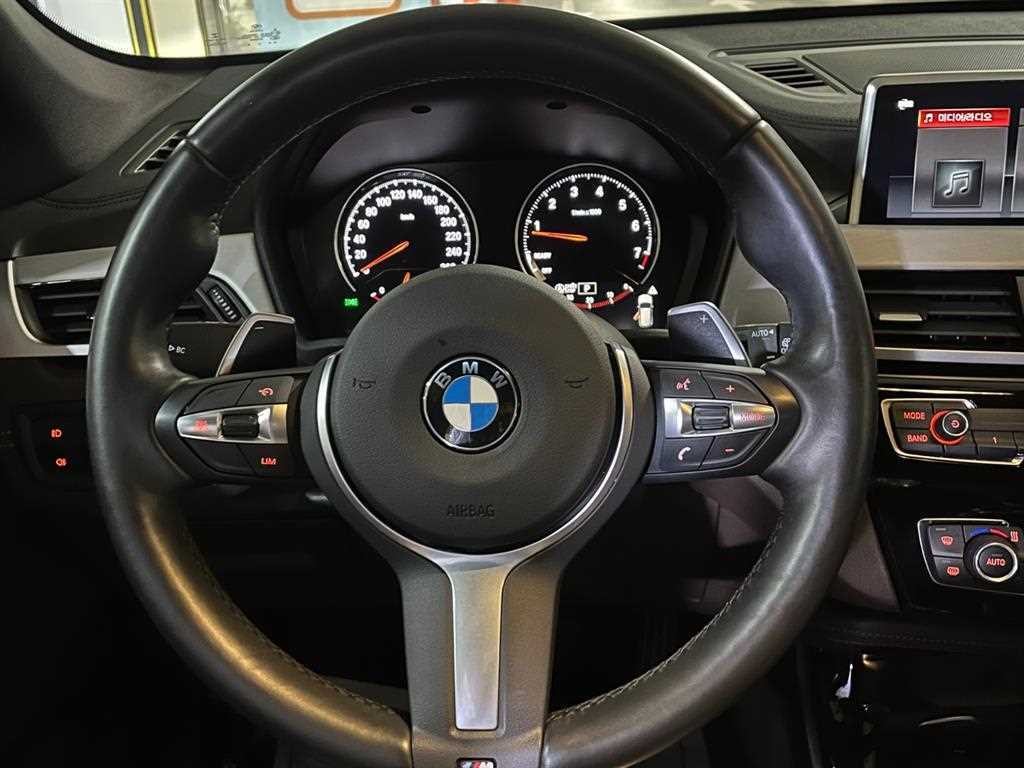 BMW X1 X1 (F48) xDrive 20i M 스포츠 이미지 12