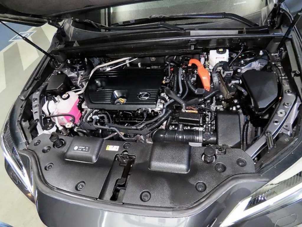 렉서스 NX NX 350h 프리미엄 이미지 19