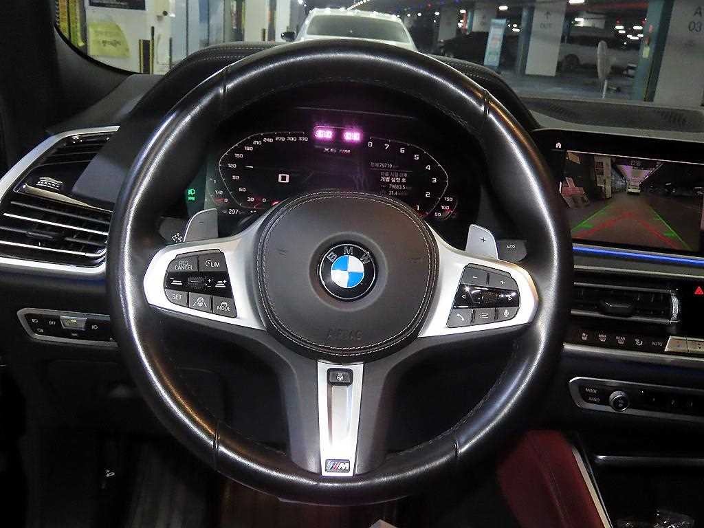 BMW X6 X6 (G06) xDrive 30d M 스포츠 이미지 8