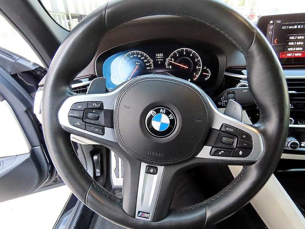 BMW 5시리즈 5시리즈 (G30) 530i xDrive M 스포츠 플러스 이미지 8