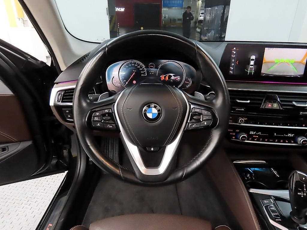BMW 5시리즈 5시리즈 (G30) 530i xDrive 럭셔리 플러스 이미지 9