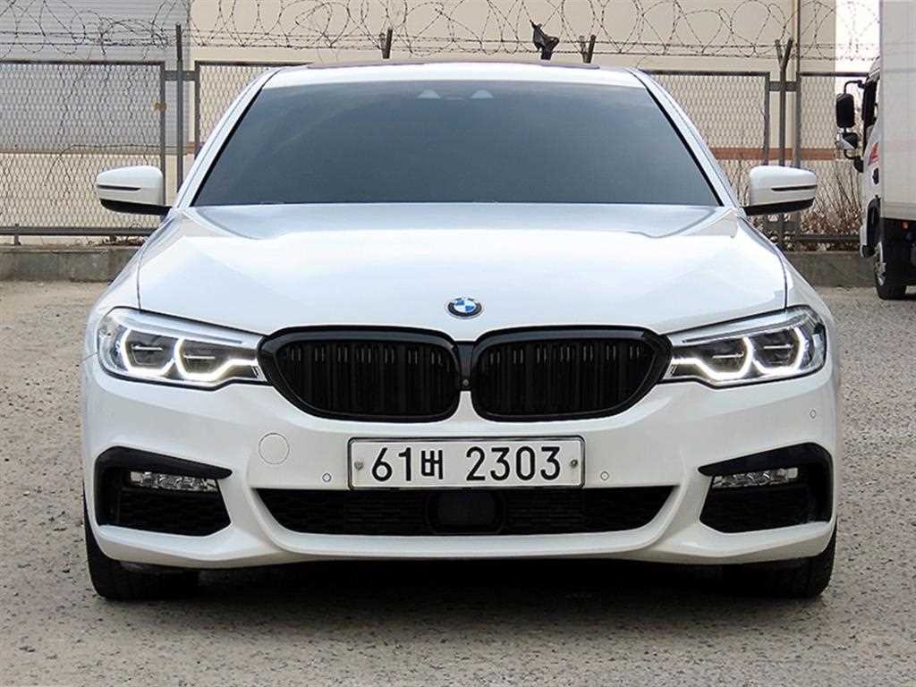 BMW 5시리즈 5시리즈 (G30) 520d xDrive M 스포츠 플러스 이미지 1