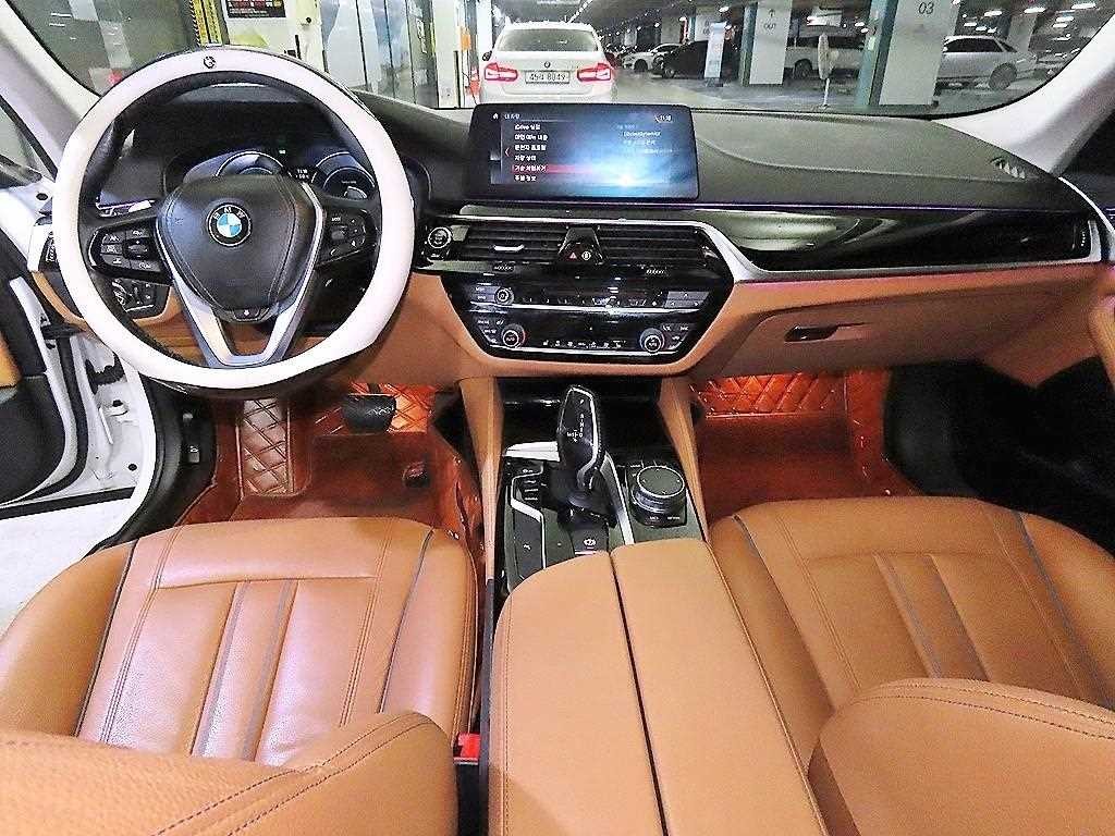 BMW 5시리즈 5시리즈 (G30) 520d M 스포츠 플러스 이미지 10