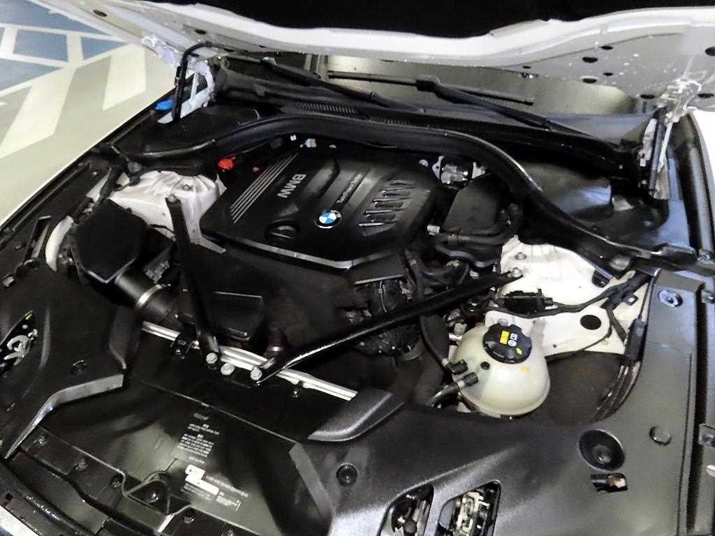 BMW 5시리즈 5시리즈 (G30) 520d M 스포츠 플러스 이미지 19