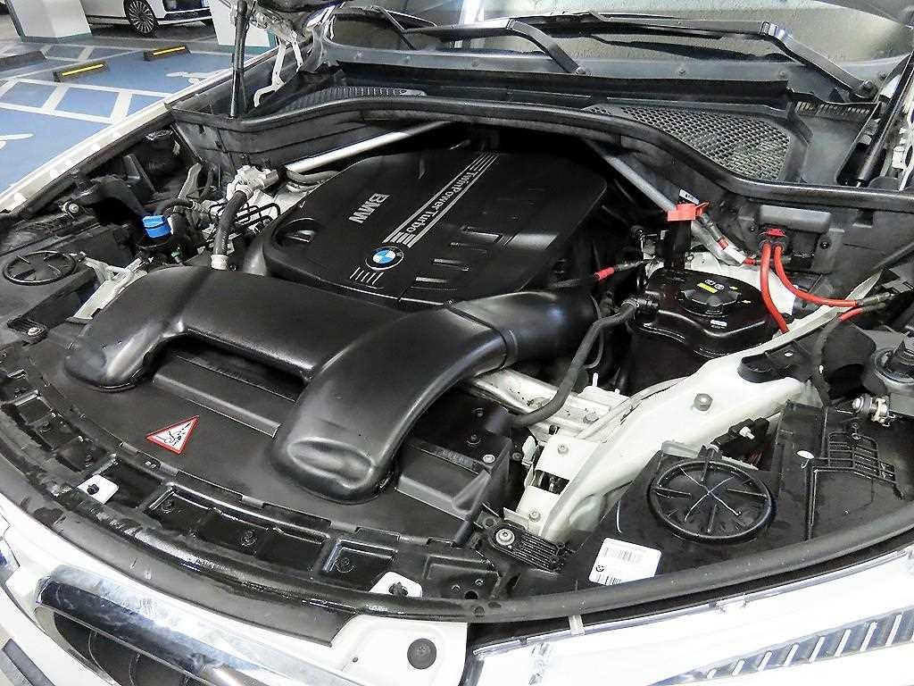 BMW X6 X6 (F16) xDrive 30d 이미지 19
