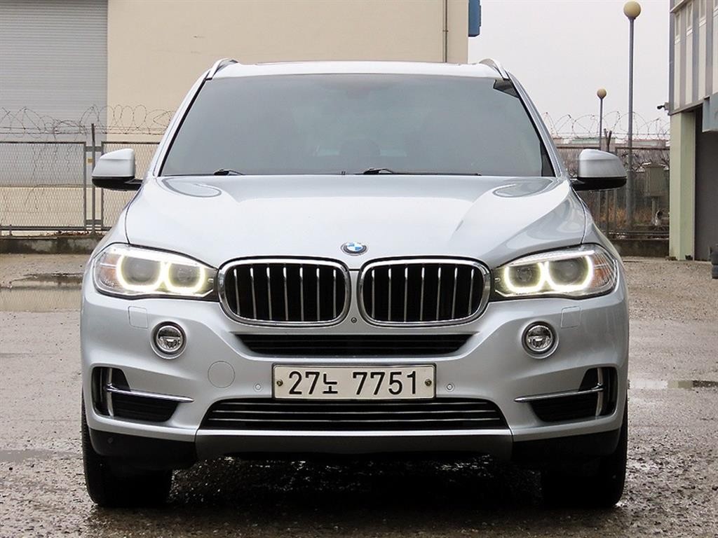 BMW X5 X5 (F15) xDrive 30d 이미지 1