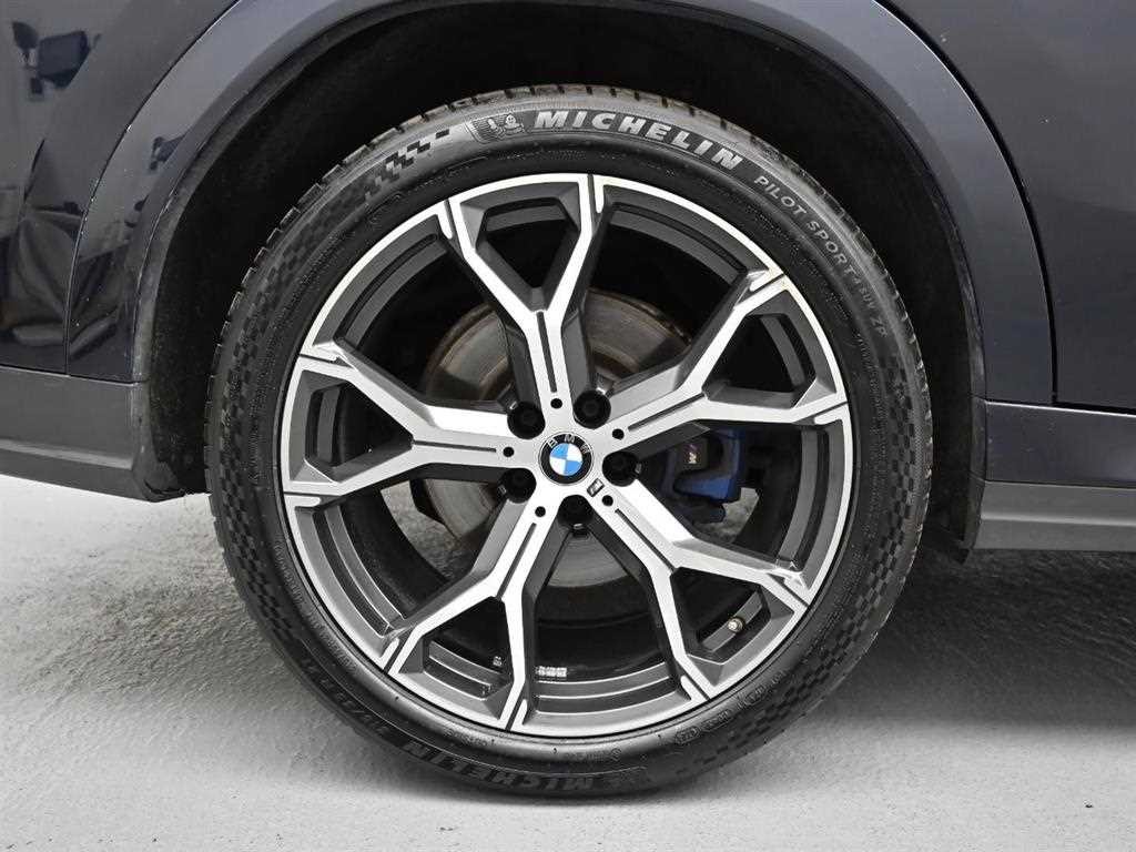 BMW X6 X6 (G06) xDrive 30d M 스포츠 이미지 5