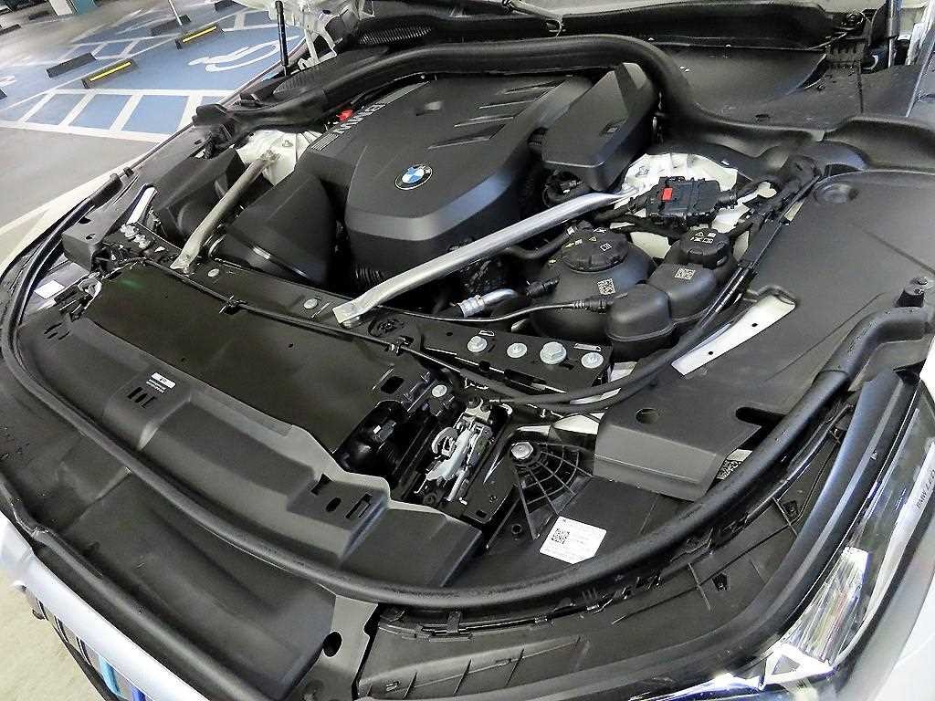 BMW 5시리즈 5시리즈 (G60) 530i xDrive 기본형 이미지 19